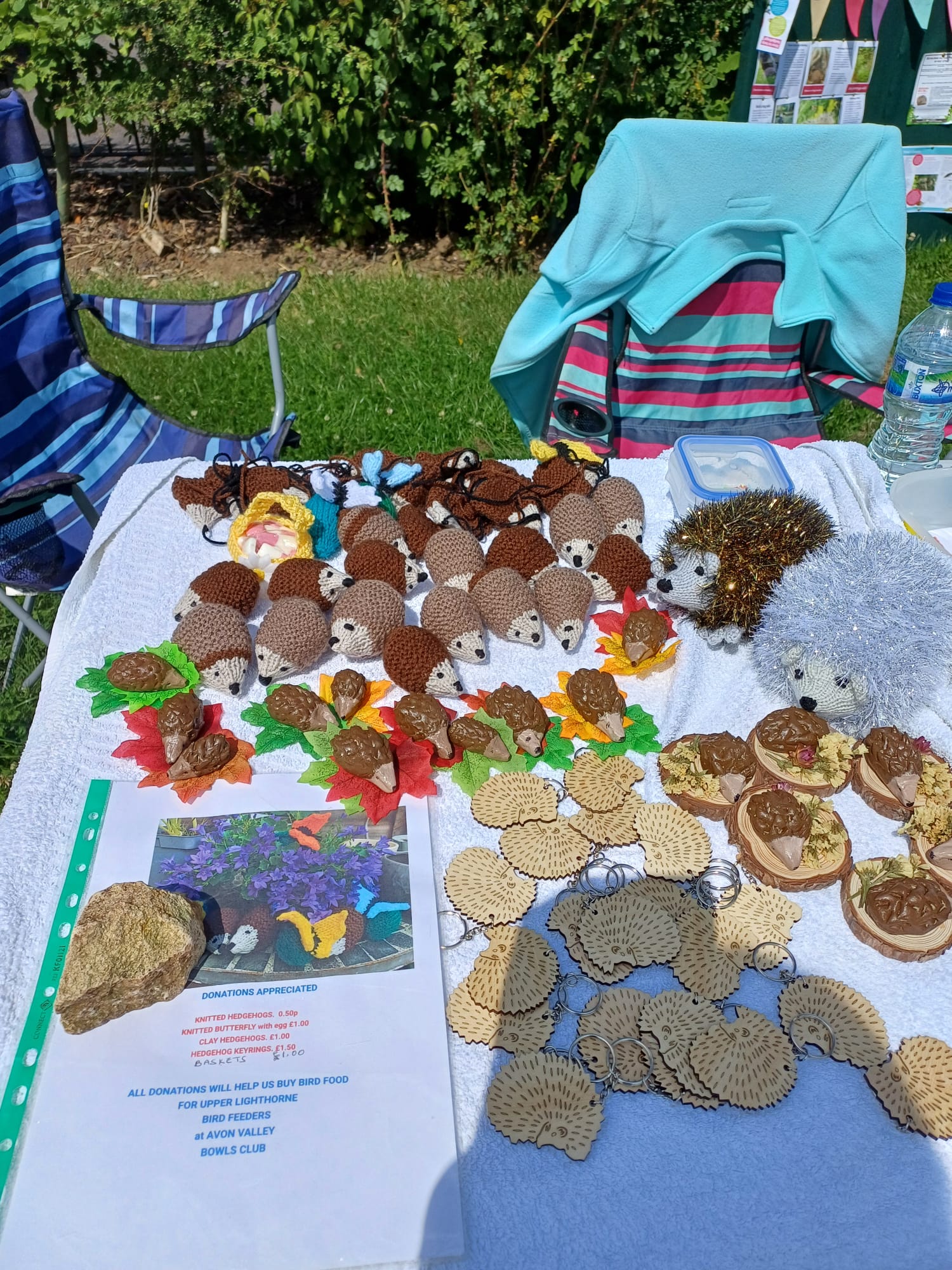 Decorate-A-Plate with Hedgehogs